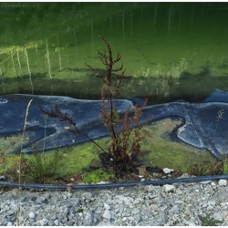 40 _ Little Landscapes