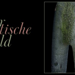 86 _ The Erotic Forest